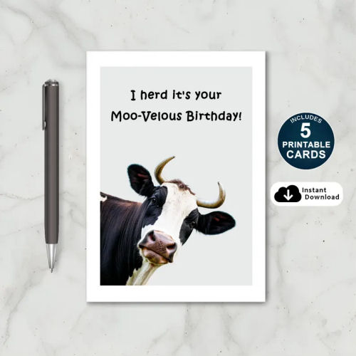 Moo-velous Birthday Card